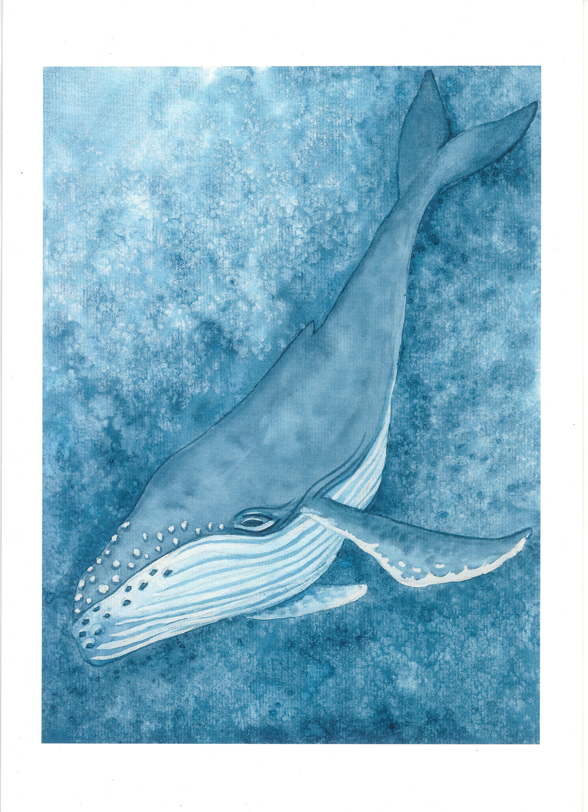 Into the Deep