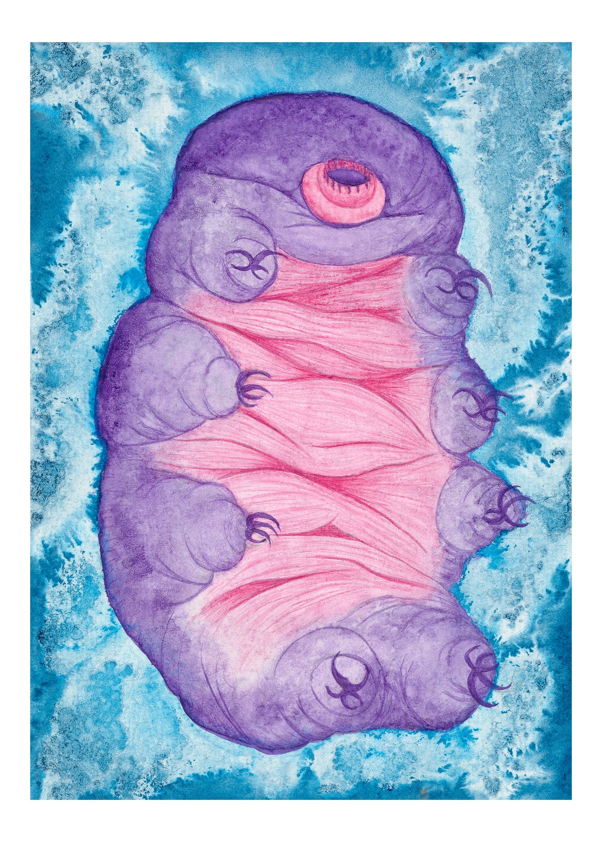 Tardigrade